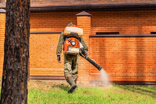 Top rated local Wasp Removal specialists in Ashland, VA